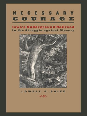 cover image of Necessary Courage